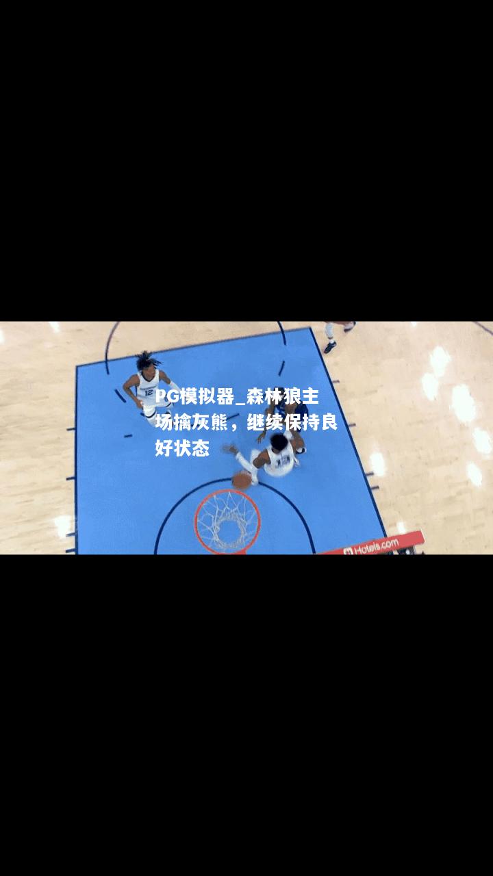 森林狼主场擒灰熊，继续保持良好状态